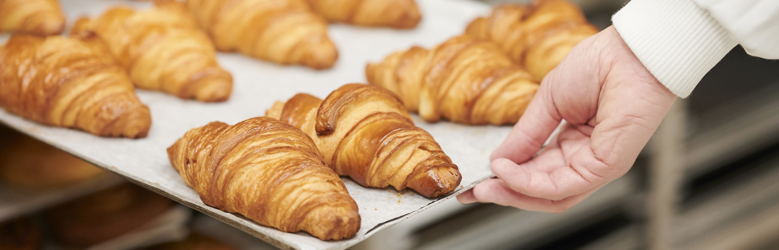 Site carrières Bridor